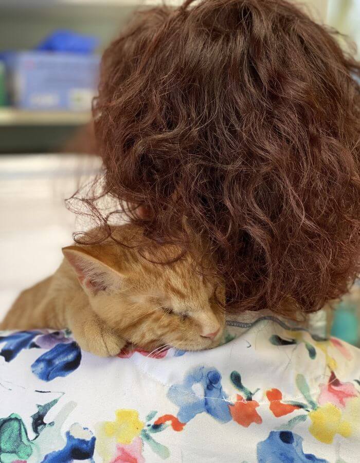 Cat cuddled into a West Niagara Animal Hospital Staff's neck